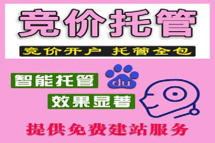 SEM代运营托管公司案例剖析